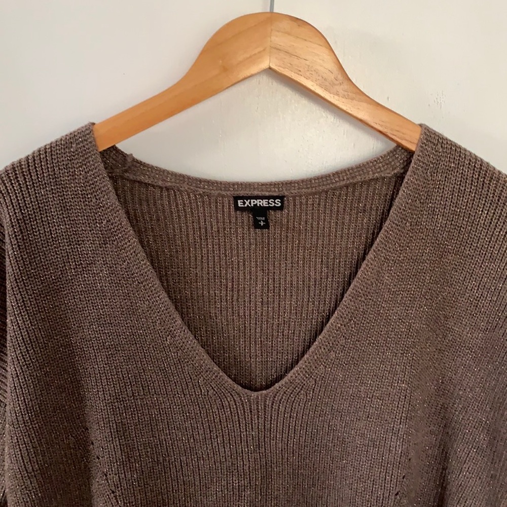 Brown sparkly Express sweater